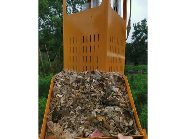 新款一體風(fēng)吸式殺蟲(chóng)燈